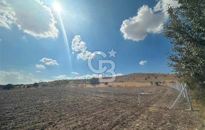 YENİMAHALLE MEMLİK'DE 3.545 m² SATILIK TARLA