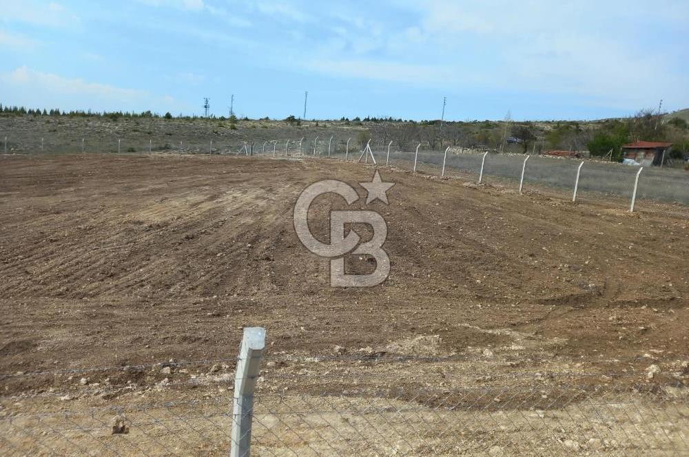 YENİMAHALLE MEMLİK'DE 4907M2 SATILIK TARLA