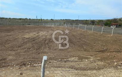 YENİMAHALLE MEMLİK'DE 4907M2 SATILIK TARLA