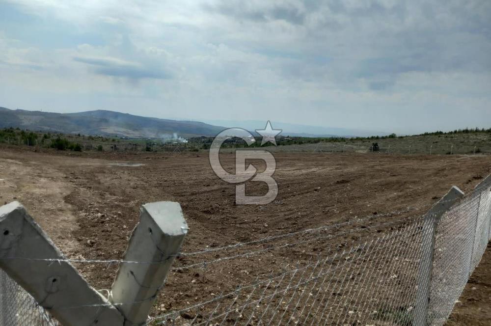 YENİMAHALLE MEMLİK'DE 4907M2 SATILIK TARLA
