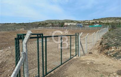 YENİMAHALLE MEMLİK'DE 4907M2 SATILIK TARLA