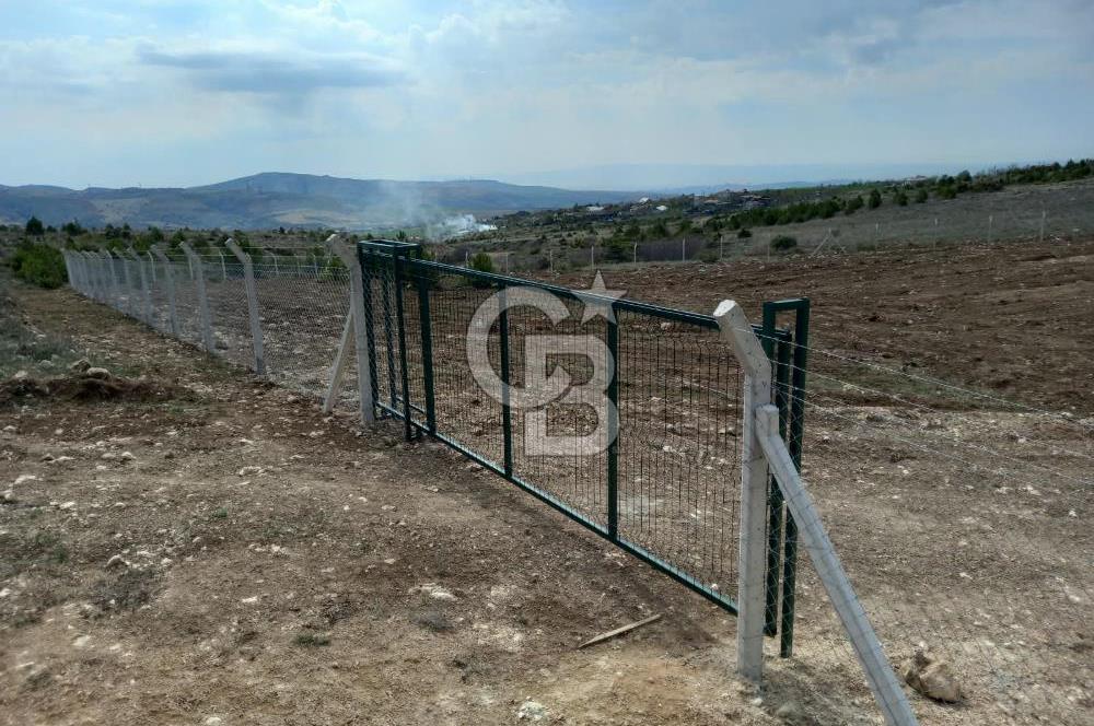 YENİMAHALLE MEMLİK'DE 4907M2 SATILIK TARLA