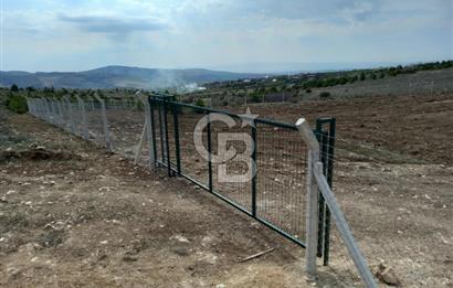 YENİMAHALLE MEMLİK'DE 4907M2 SATILIK TARLA