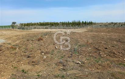 YENİMAHALLE MEMLİK'DE 4907M2 SATILIK TARLA