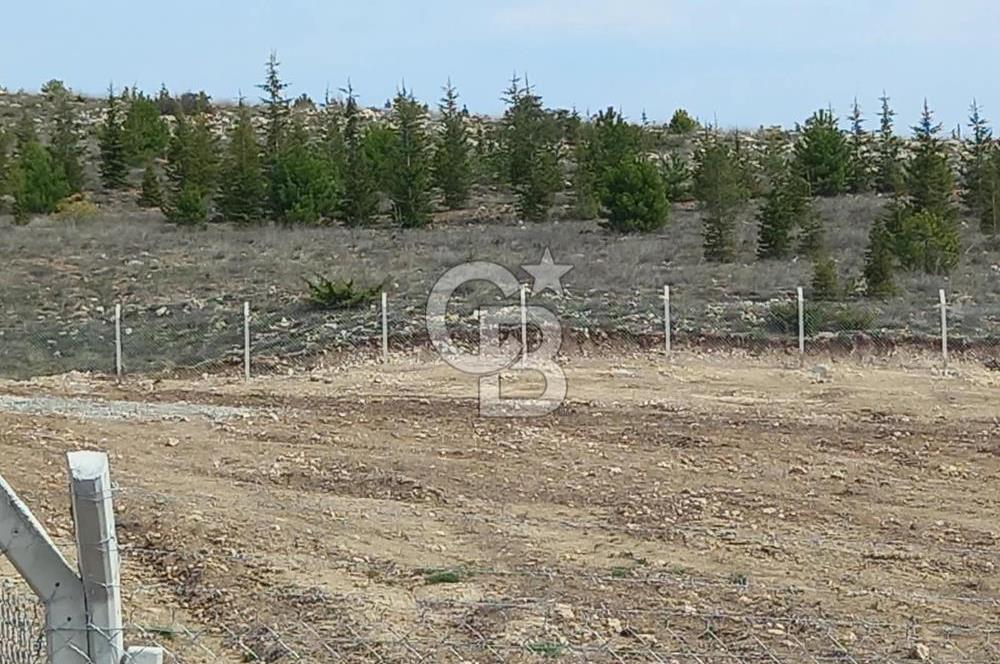 YENİMAHALLE MEMLİK'DE 4907M2 SATILIK TARLA
