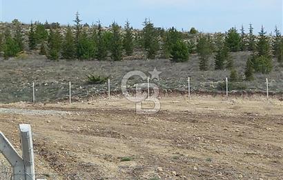 YENİMAHALLE MEMLİK'DE 4907M2 SATILIK TARLA