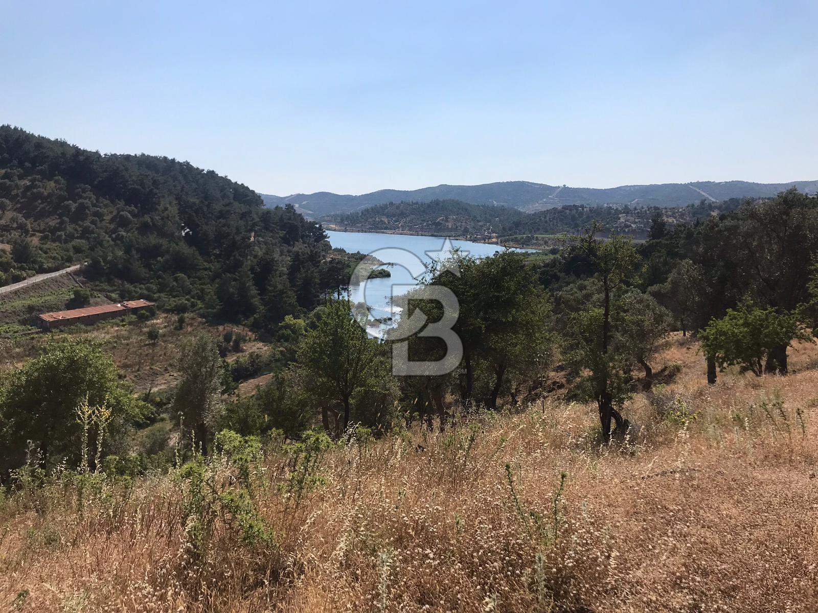 Seferihisar Beyler Baraj Manzaralı Satılık Zeytinlik
