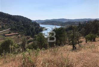 Seferihisar Beyler Baraj Manzaralı Satılık Zeytinlik - 1 - 376353
