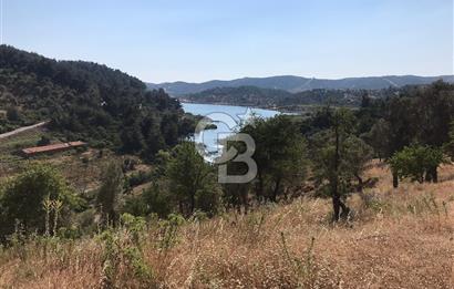Seferihisar Beyler Baraj Manzaralı Satılık Zeytinlik