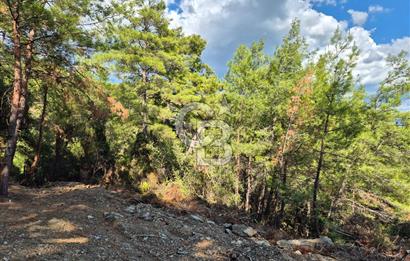 Başlığı 🌿✨ Muğla Ula Çiçeklide Manzarası Büyüleyen Bereketli Tarla, Kıymetli Taşlarla Dolu Huzur Vahası 🌞🏞️