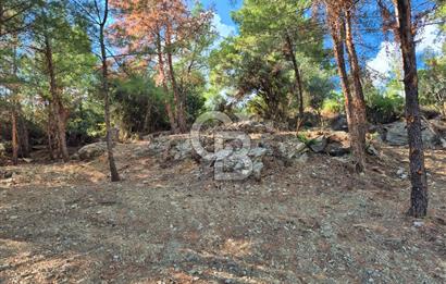 Başlığı 🌿✨ Muğla Ula Çiçeklide Manzarası Büyüleyen Bereketli Tarla, Kıymetli Taşlarla Dolu Huzur Vahası 🌞🏞️