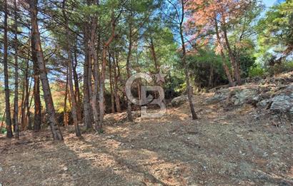 Başlığı 🌿✨ Muğla Ula Çiçeklide Manzarası Büyüleyen Bereketli Tarla, Kıymetli Taşlarla Dolu Huzur Vahası 🌞🏞️