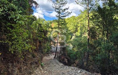 Başlığı 🌿✨ Muğla Ula Çiçeklide Manzarası Büyüleyen Bereketli Tarla, Kıymetli Taşlarla Dolu Huzur Vahası 🌞🏞️