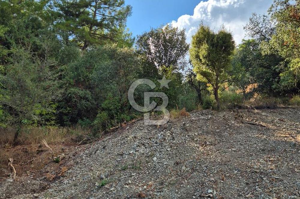 🌿✨ Muğla Ula Çiçeklide Bereketli Toprak, Su Kuyulu Huzur Durağı 
