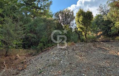 🌿✨ Muğla Ula Çiçeklide Bereketli Toprak, Su Kuyulu Huzur Durağı 