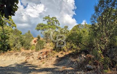 🌿✨ Muğla Ula Çiçeklide Bereketli Toprak, Su Kuyulu Huzur Durağı 
