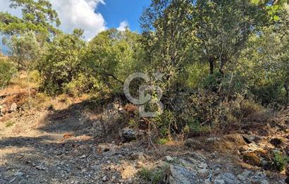 🌿✨ Muğla Ula Çiçeklide Bereketli Toprak, Su Kuyulu Huzur Durağı 