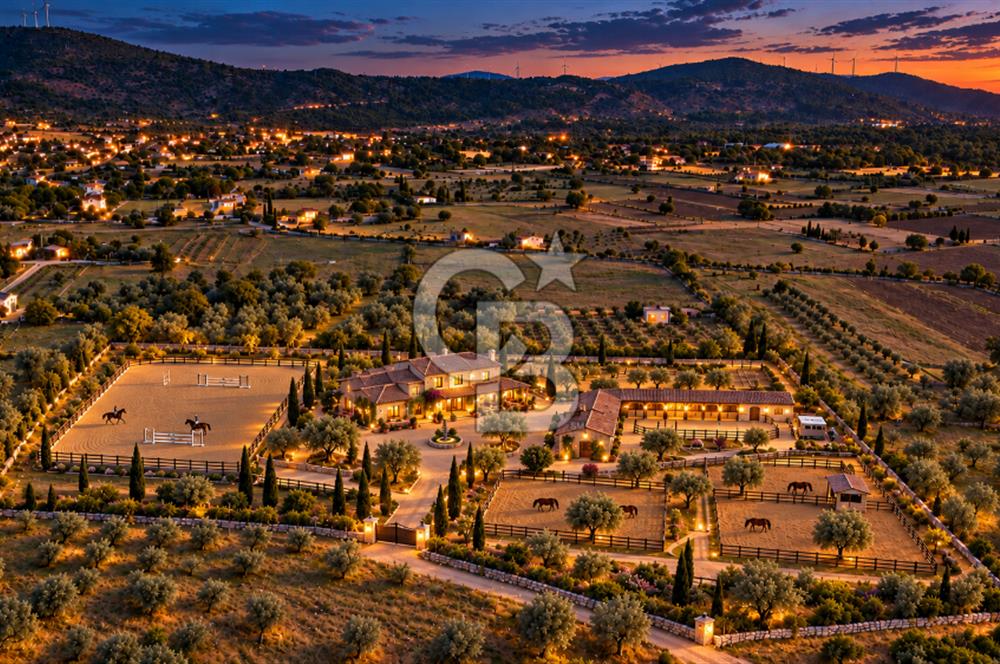 URLA BARBAROS’TA 10.476 M² MÜSTAKİL TAPULU İÇİNDE EVİ OLAN ZEYTİN AĞAÇLI TARLA