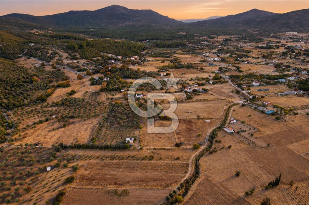 URLA BARBAROS’TA 10.476 M² MÜSTAKİL TARLA | OTOBANA 4,8 KM | PROJEYE UYGUN