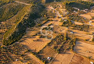 URLA BARBAROS’TA 10.476 M² MÜSTAKİL TARLA | OTOBANA 4,8 KM | PROJEYE UYGUN - 2 - 376365