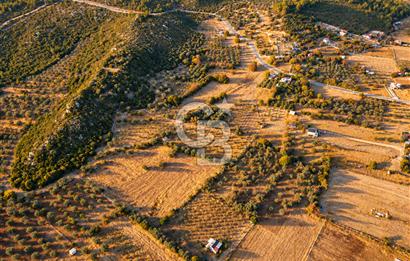 URLA BARBAROS’TA 10.476 M² MÜSTAKİL TARLA | OTOBANA 4,8 KM | PROJEYE UYGUN