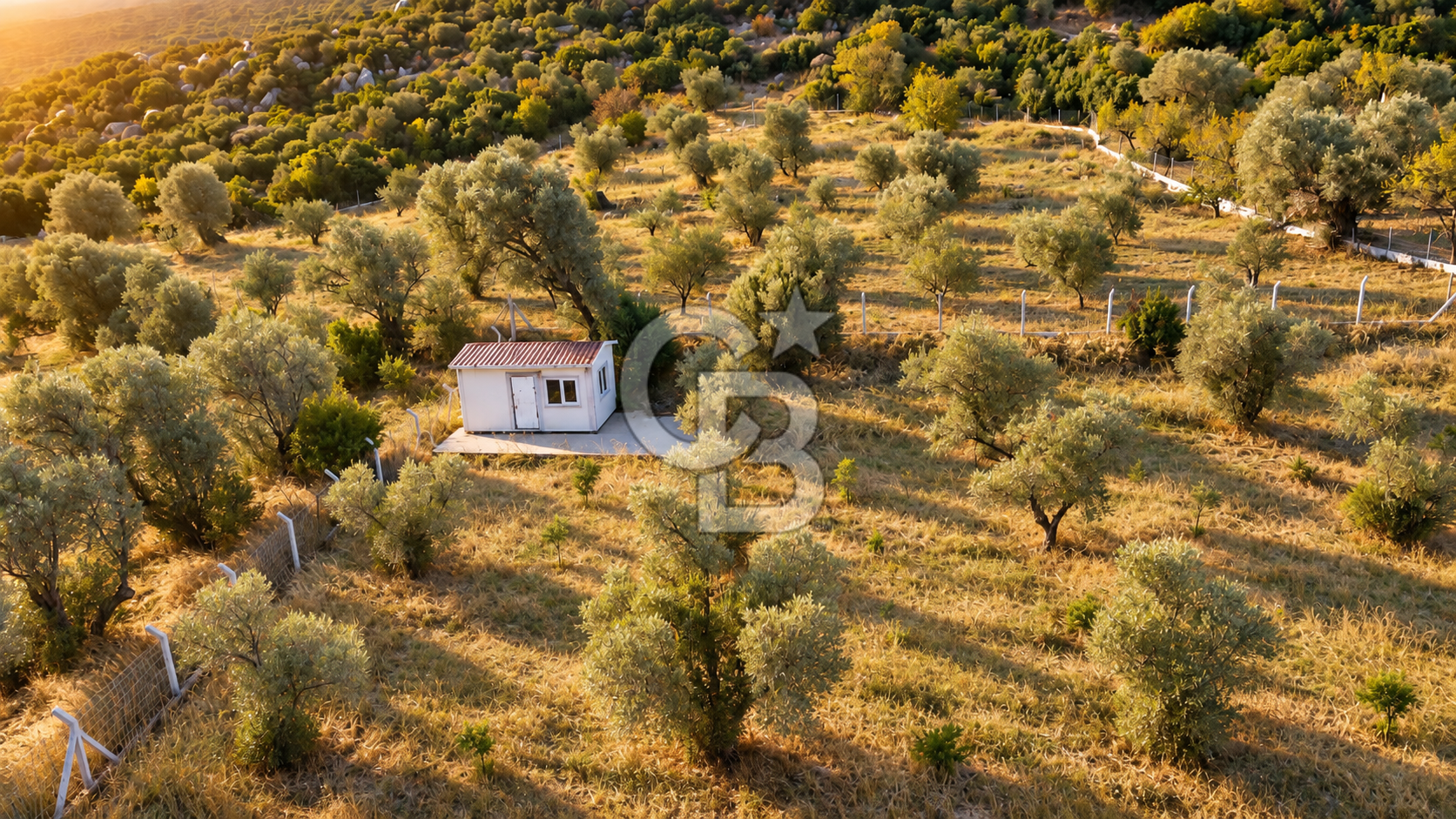 URLA BARBAROS’TA 10.476 M² MÜSTAKİL TAPULU İÇİNDE EVİ OLAN ZEYTİN AĞAÇLI TARLA