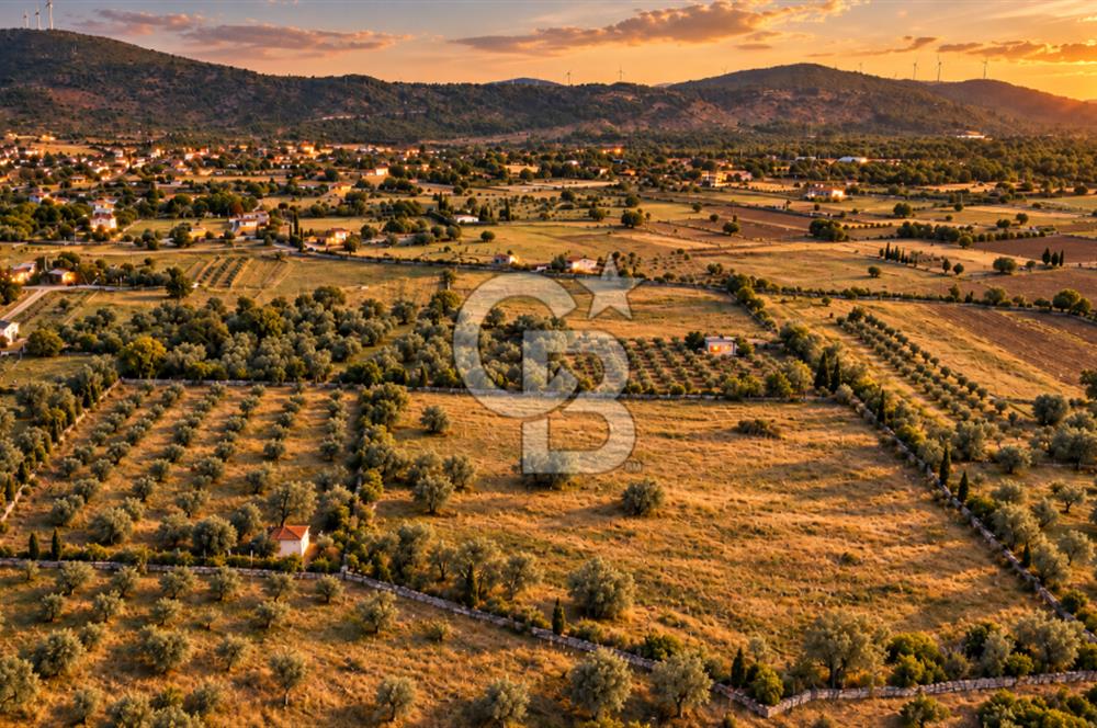 URLA BARBAROS’TA 10.476 M² MÜSTAKİL TARLA | OTOBANA 4,8 KM | PROJEYE UYGUN