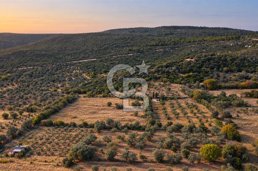 URLA BARBAROS’TA 10.476 M² MÜSTAKİL TARLA | OTOBANA 4,8 KM | PROJEYE UYGUN