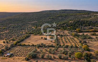 URLA BARBAROS’TA 10.476 M² MÜSTAKİL TARLA | OTOBANA 4,8 KM | PROJEYE UYGUN