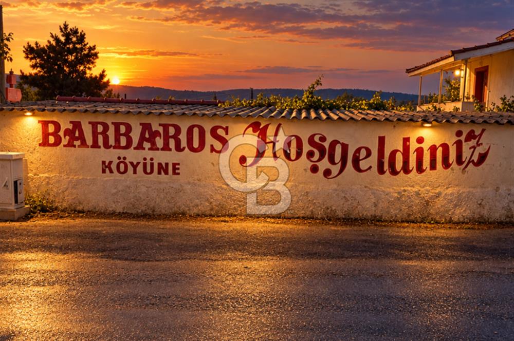 URLA BARBAROS’TA 10.476 M² MÜSTAKİL TAPULU İÇİNDE EVİ OLAN ZEYTİN AĞAÇLI TARLA