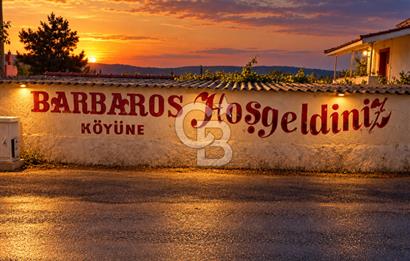 URLA BARBAROS’TA 10.476 M² MÜSTAKİL TAPULU İÇİNDE EVİ OLAN ZEYTİN AĞAÇLI TARLA