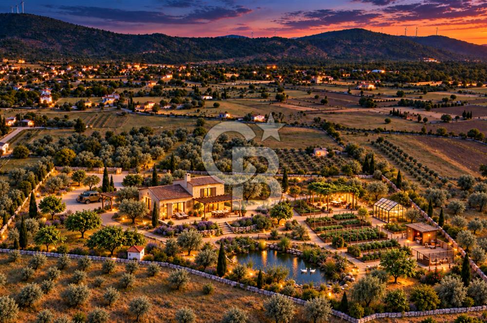 URLA BARBAROS’TA 10.476 M² MÜSTAKİL TAPULU İÇİNDE EVİ OLAN ZEYTİN AĞAÇLI TARLA