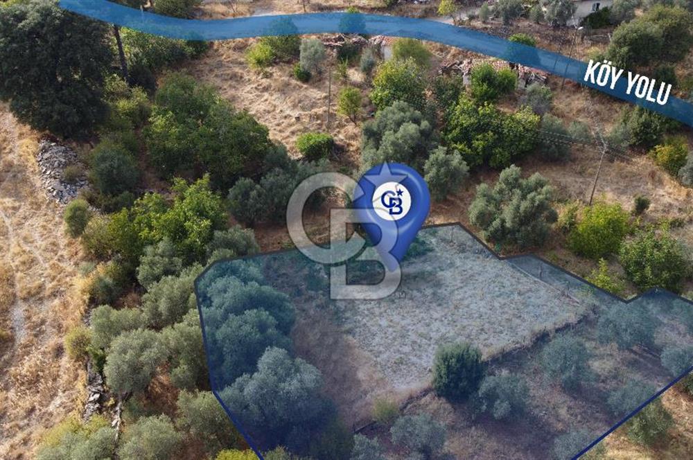 🌿✨ Muğla Ula Çiçeklide Bereketli, Düz Arsa - Köy Yolu ile Kolay Ulaşım 🌞🏡