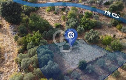 🌿✨ Muğla Ula Çiçeklide Bereketli, Düz Arsa - Köy Yolu ile Kolay Ulaşım 🌞🏡