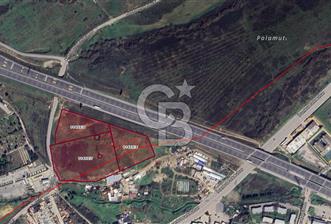 38,700 SQM COMMERCIAL ZONED LAND FOR SALE IN PENDIK KURNA WITH NORTH MARMARA MOTORWAY FRONTAGE - 1 - 376369
