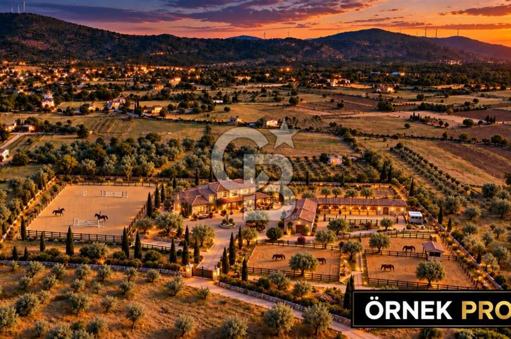 URLA BARBAROS’TA 10.476 M² MÜSTAKİL TAPULU İÇİNDE EVİ OLAN ZEYTİN AĞAÇLI TARLA
