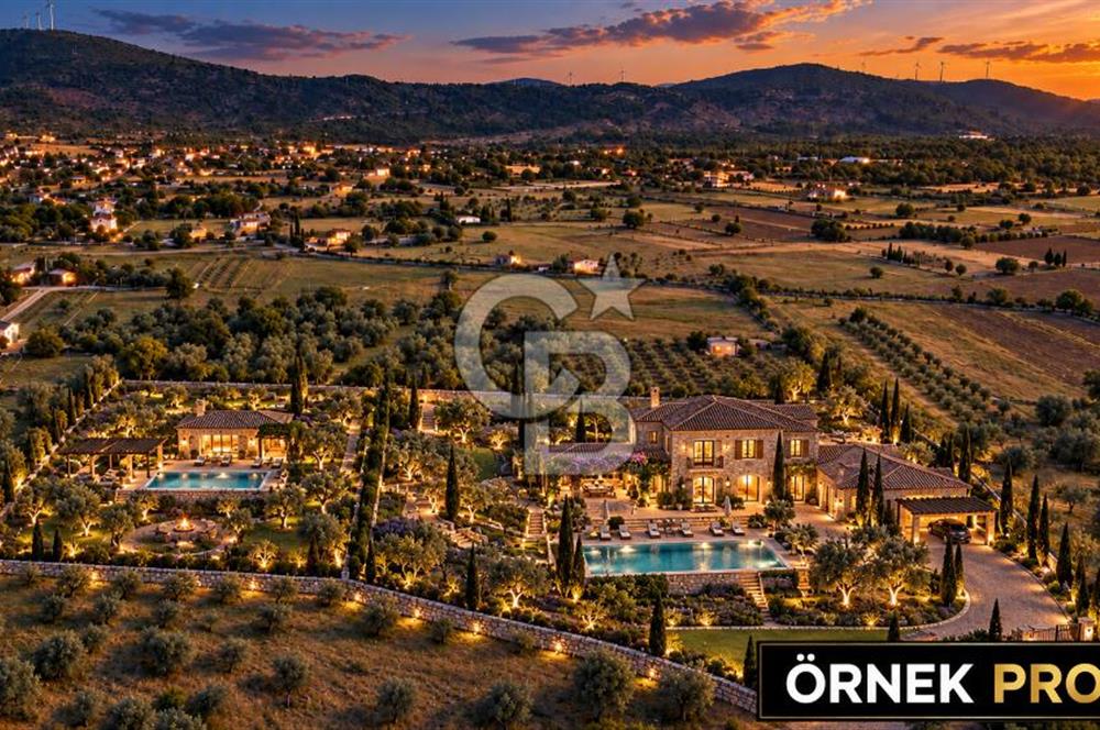 URLA BARBAROS’TA 10.476 M² MÜSTAKİL TAPULU İÇİNDE EVİ OLAN ZEYTİN AĞAÇLI TARLA
