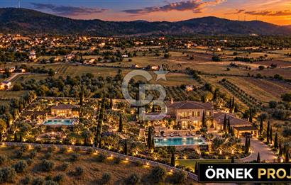 URLA BARBAROS’TA 10.476 M² MÜSTAKİL TAPULU İÇİNDE EVİ OLAN ZEYTİN AĞAÇLI TARLA