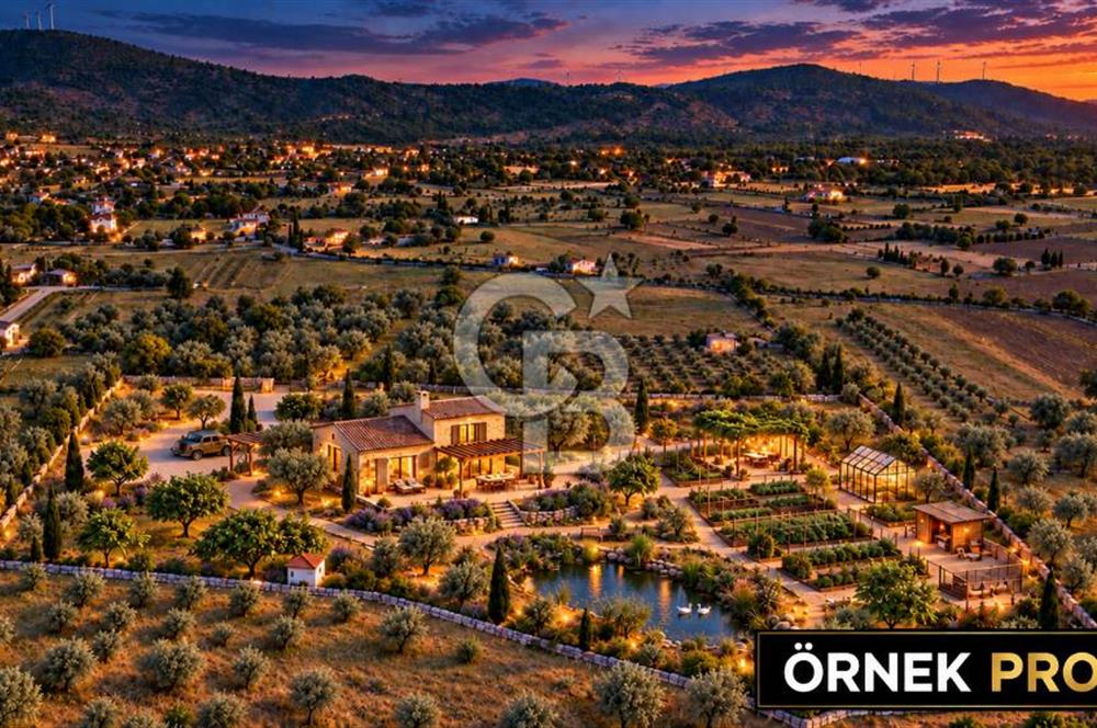 URLA BARBAROS’TA 10.476 M² MÜSTAKİL TAPULU İÇİNDE EVİ OLAN ZEYTİN AĞAÇLI TARLA