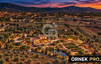 URLA BARBAROS’TA 10.476 M² MÜSTAKİL TAPULU İÇİNDE EVİ OLAN ZEYTİN AĞAÇLI TARLA