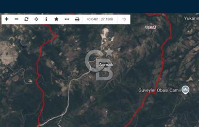 ÇANAKKALE ÇAN ASMALI’DA  SATILIK TARLA