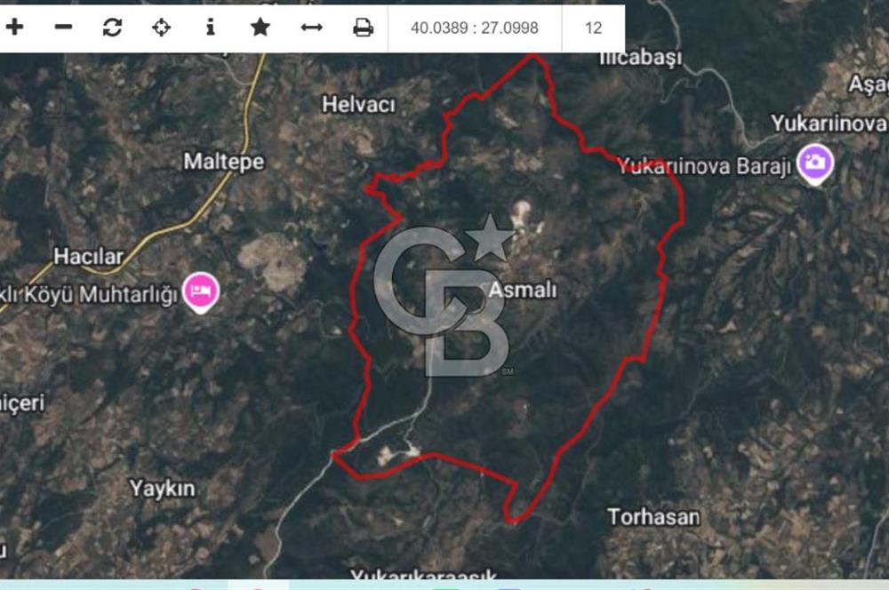 ÇANAKKALE ÇAN ASMALI’DA  SATILIK TARLA
