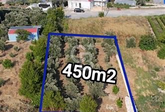 YAYLICA ANA YOLUNA 2.PARSEL SATILIK - 2 - 376471
