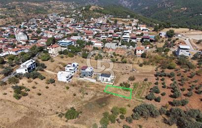 Kemalpaşa Damlacık’da Köy İçi İmarlı 249 m2 Arsa 