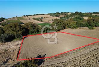LAPSEKİ SULUCADA 3.567 M² SATILIK TARLA - 3 - 376502
