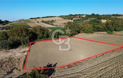 LAPSEKİ SULUCADA 3.567 M² SATILIK TARLA