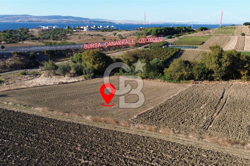 LAPSEKİ SULUCADA 3.567 M² SATILIK TARLA