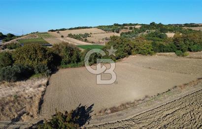 LAPSEKİ SULUCADA 3.567 M² SATILIK TARLA