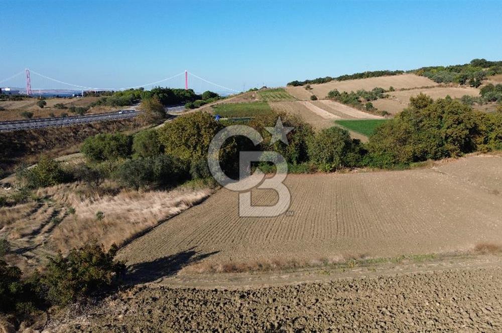 LAPSEKİ SULUCADA 3.567 M² SATILIK TARLA