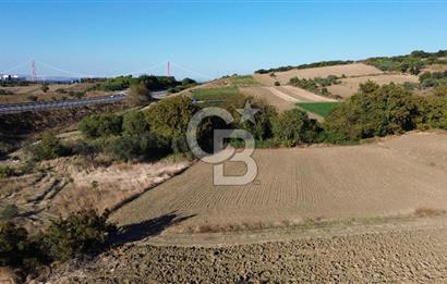 LAPSEKİ SULUCADA 3.567 M² SATILIK TARLA